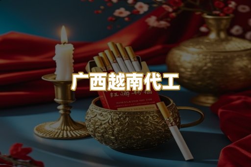 广西越南代工